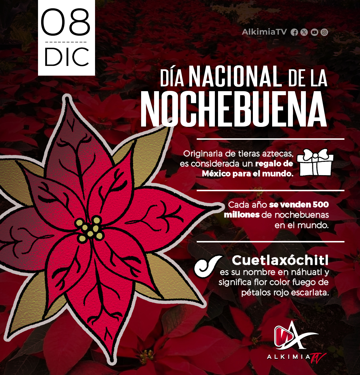 Día Nacional de la Nochebuena