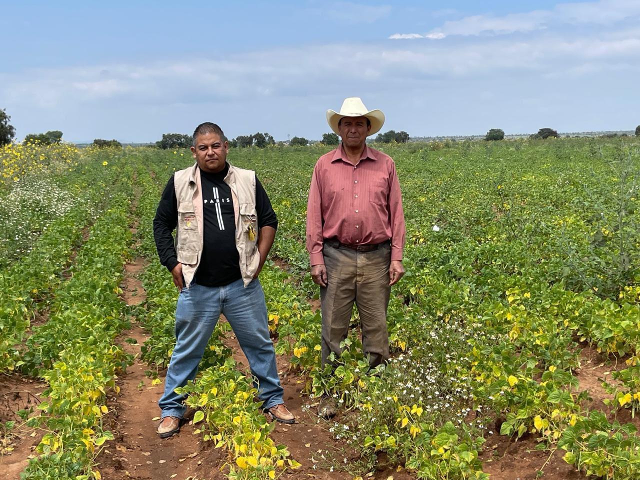 Mantiene Agricultura abierta ventanilla de registro a productores de frijol