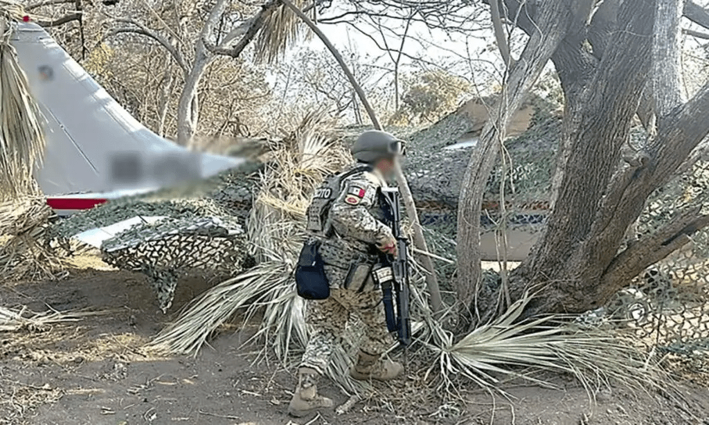 Aseguran avión con droga en Oaxaca tras operativo