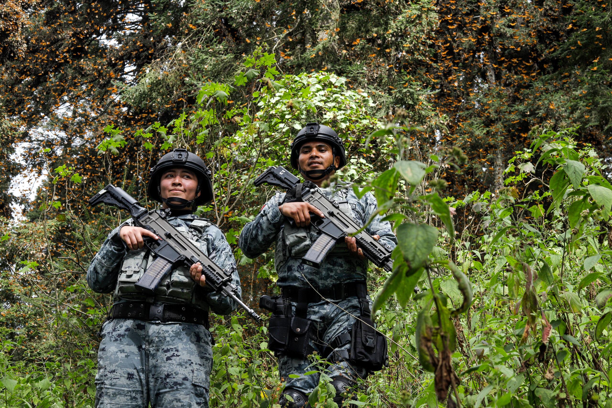 Guardia Nacional combate crímenes ambientales sin tregua