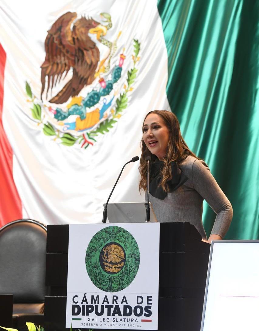 Urge Noemí Luna medidas inmediatas contra el acoso escolar en México