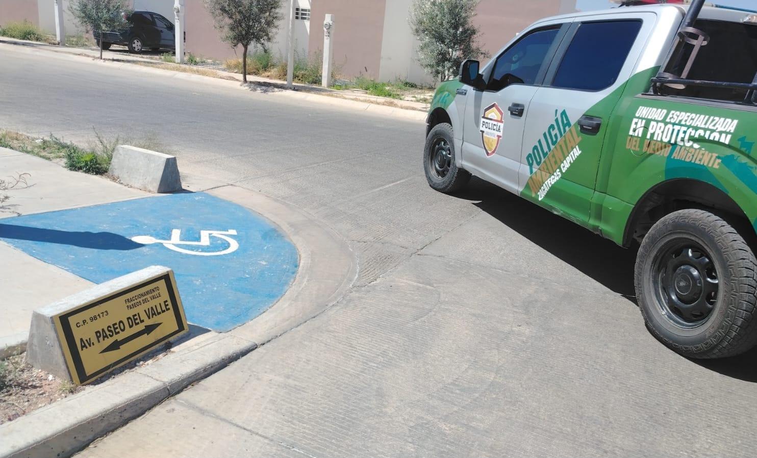 Investigan envenenamiento de mascotas en Paseos del Valle