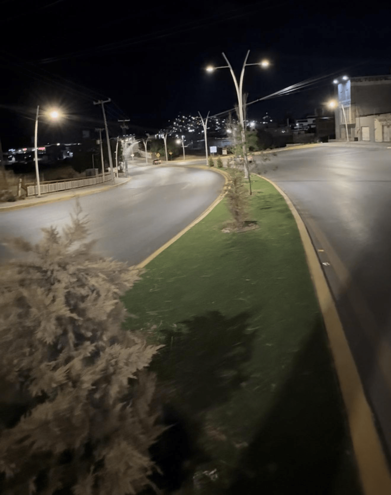 Gobierno del estado no entregó la avenida Netzahualcóyotl al Municipio: Lupita Flores