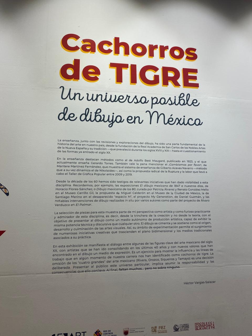 “Cachorros de Tigre”: el dibujo como territorio vivo del arte mexicano