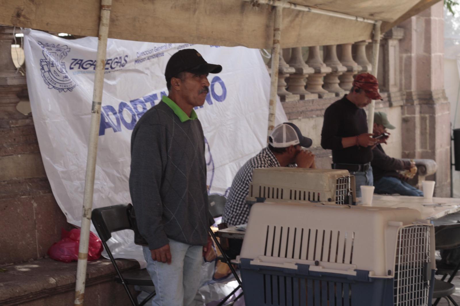 Impulsan adopción animal y rescatan mascotas abandonadas en Zacatecas