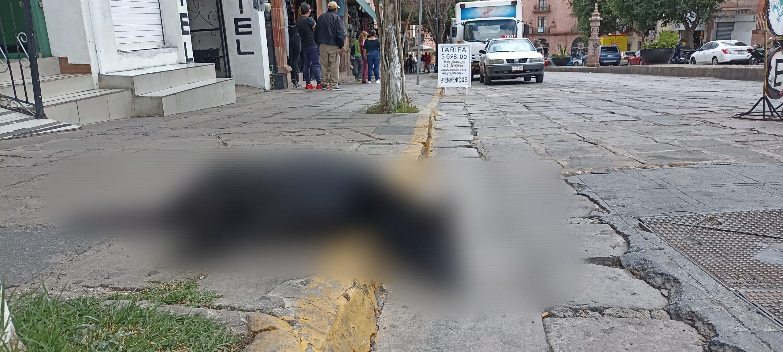 Reconocen poco interés en Municipios por resolver crisis de perros en las calles