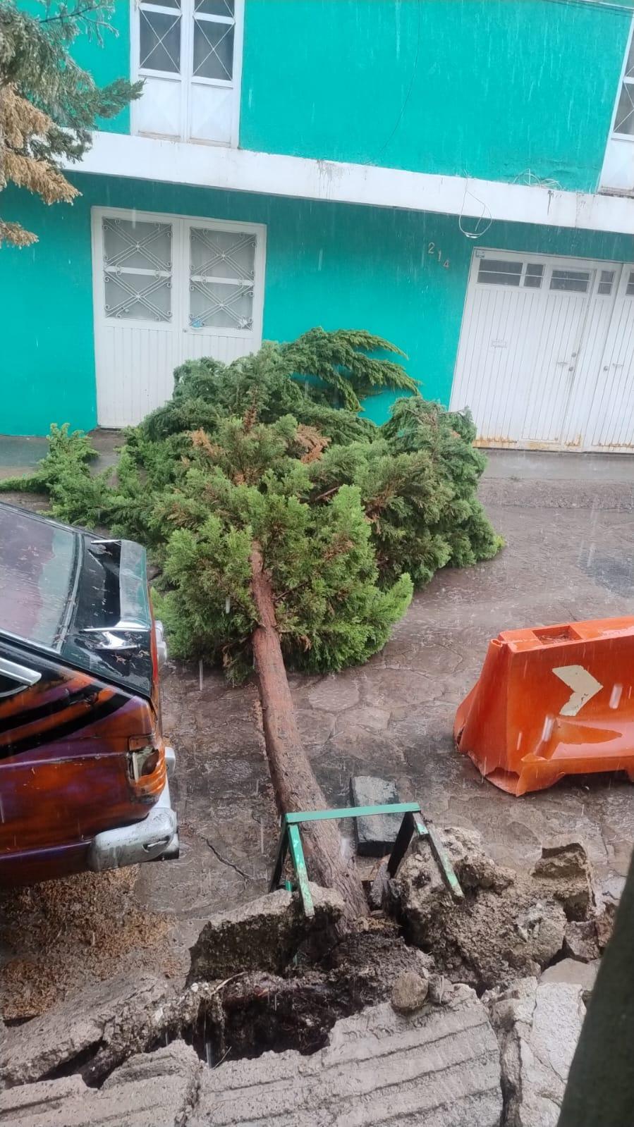 Atiende Protección Civil afectaciones tras intensa lluvia en zona metropolitana