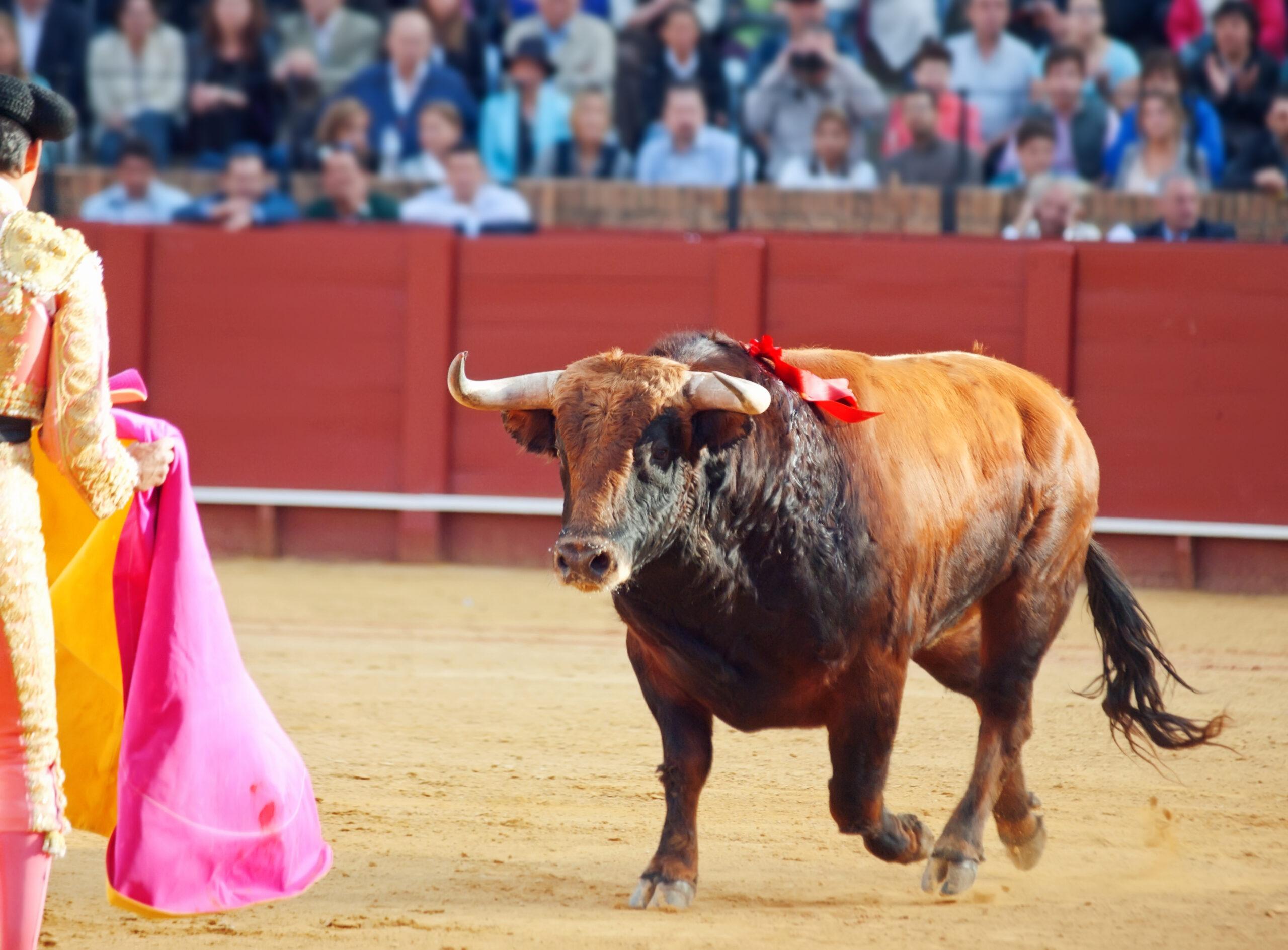 Suspenden corridas de toros en la Fenaza 2026