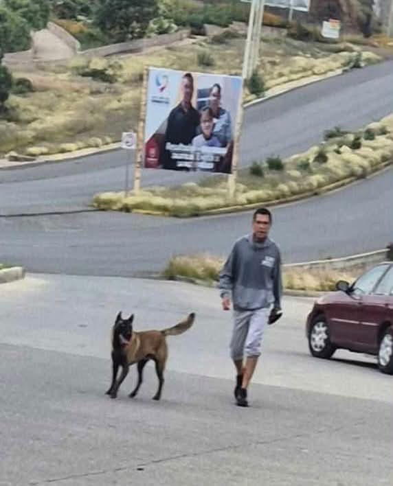 Alertan por individuo en Ecoparque Centenario