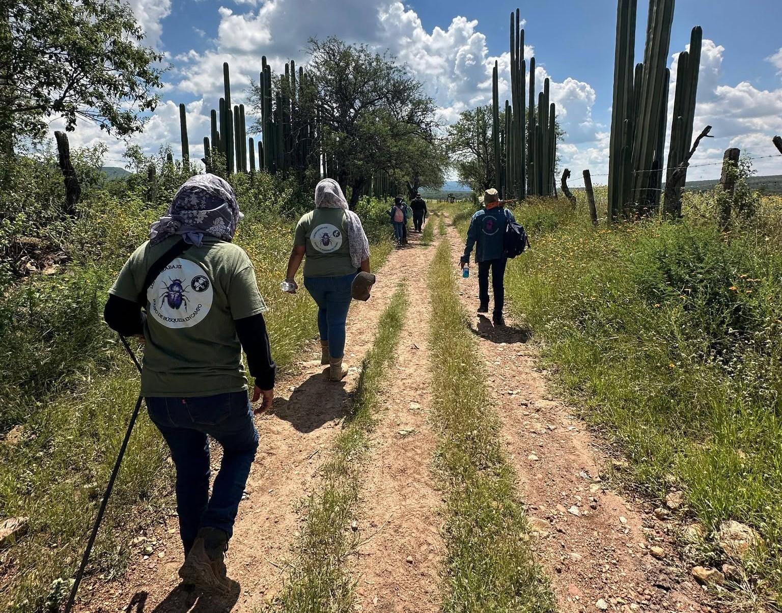 Reclama ONU a México impunidad en ataques a buscadoras
